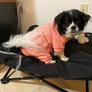 Odra Pooch Couture Pet Pajamas – Dog Not Included